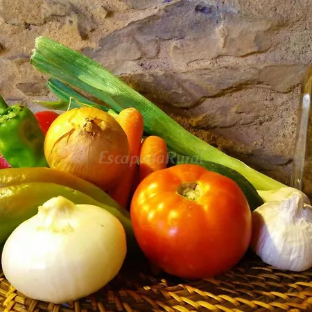 Holiday home La Fragua *