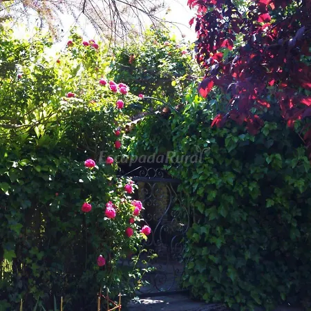 La Fragua Holiday home