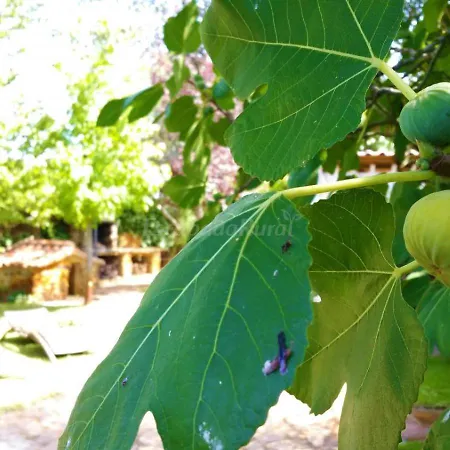 La Fragua * Pastores