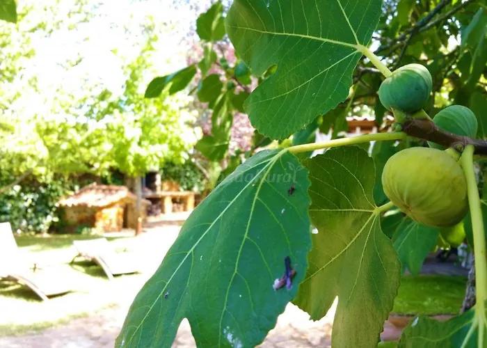 La Fragua * Pastores